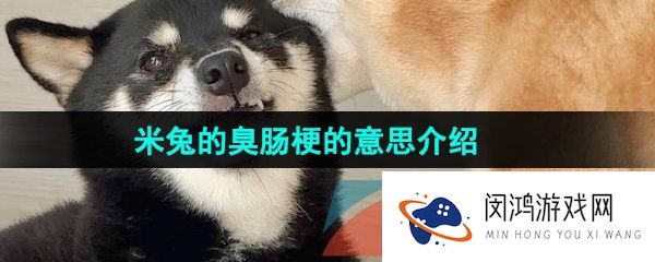《抖音》米兔的臭肠梗的意思介绍