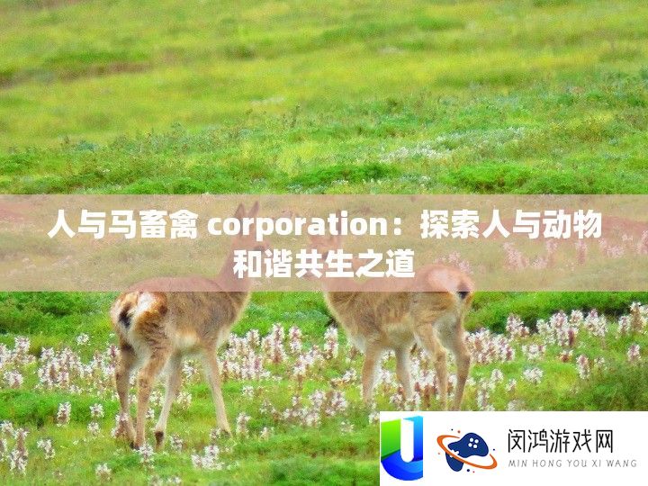 人与马畜禽 corporation：索求人与生物调和共生之道