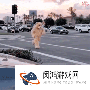 《抖音》小熊跳舞搞笑表情包分享