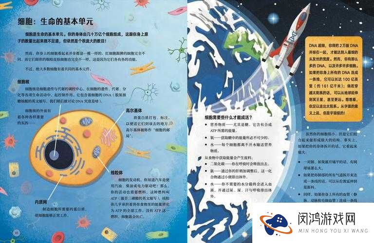 三年成全免费高清观看，究竟是怎样的神奇体验？快来一探究竟