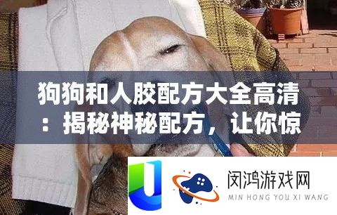 狗狗和人胶配方大全高清：揭秘奥秘配方，让你赞叹不已