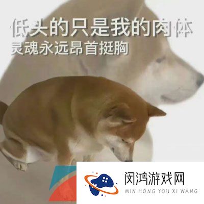 《抖音》citywalk梗的意思介绍
