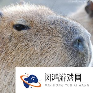 《抖音》卡皮巴拉梗的背景音乐分享