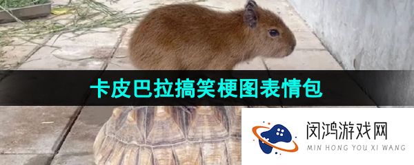抖音卡皮巴拉表情包有哪些-卡皮巴拉水豚搞笑梗图表情包分享