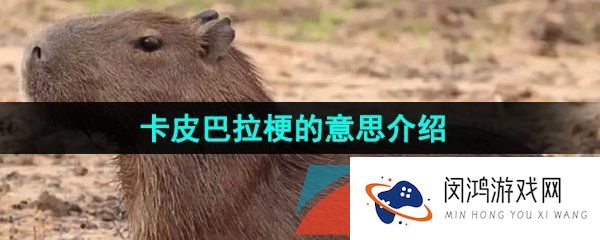 抖音卡皮巴拉是什么梗-水豚卡皮巴拉梗的意思介绍