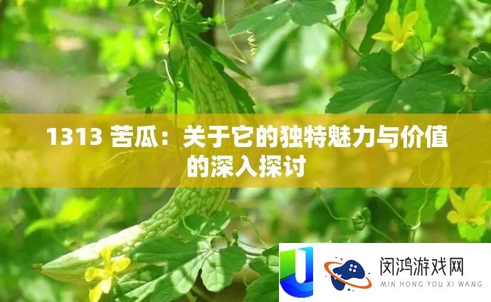 1313 苦瓜