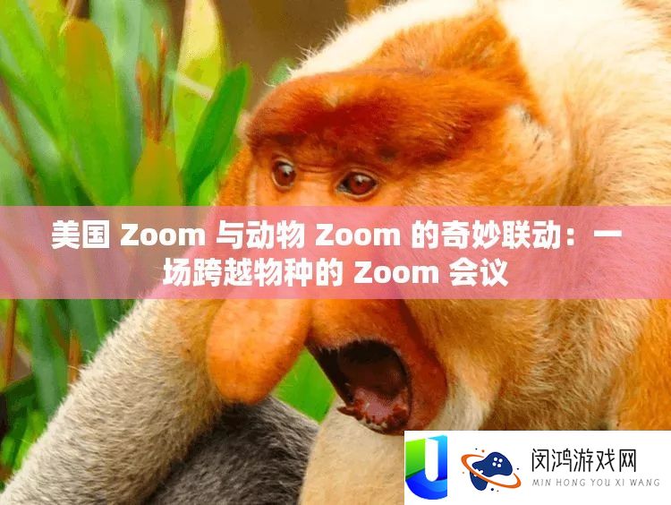 美国 Zoom 与生物 Zoom 的巧妙联动：一场逾越物种的 Zoom 会议