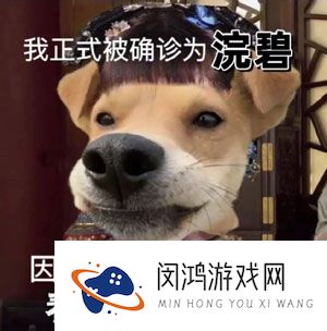 网络用语被正式确诊为xx梗的意思介绍