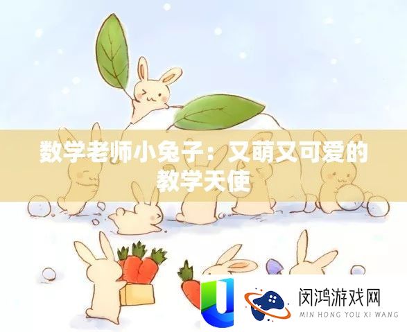 数学教师小兔子