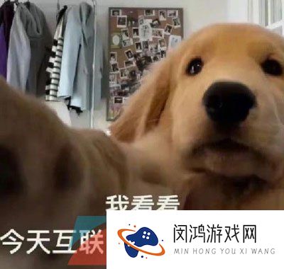 《抖音》当地人都这么吃梗的意思介绍