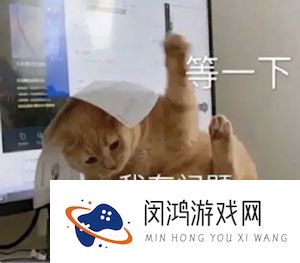网络用语理解质疑成为梗的意思介绍