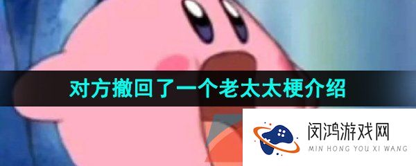 抖音对方撤回了一个老太太是什么意思-对方撤回了一个老太太梗的意思介绍
