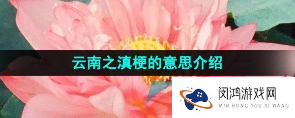 抖音云南之滇是什么梗-云南之滇梗的意思介绍