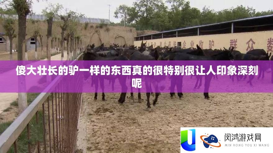 傻大壮长的驴一样的东西真的很希奇很让人印象深入呢
