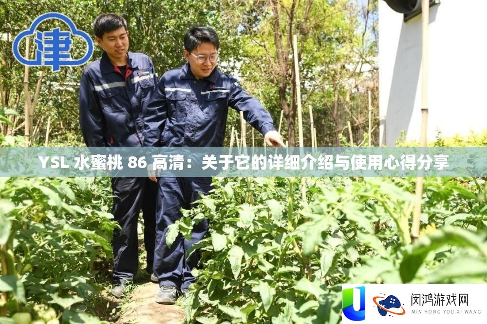 YSL 水蜜桃 86 高清：关于它的具体分享与使专心得技巧