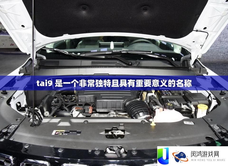 tai9 是一个异常怪异且具有主要意义的称号