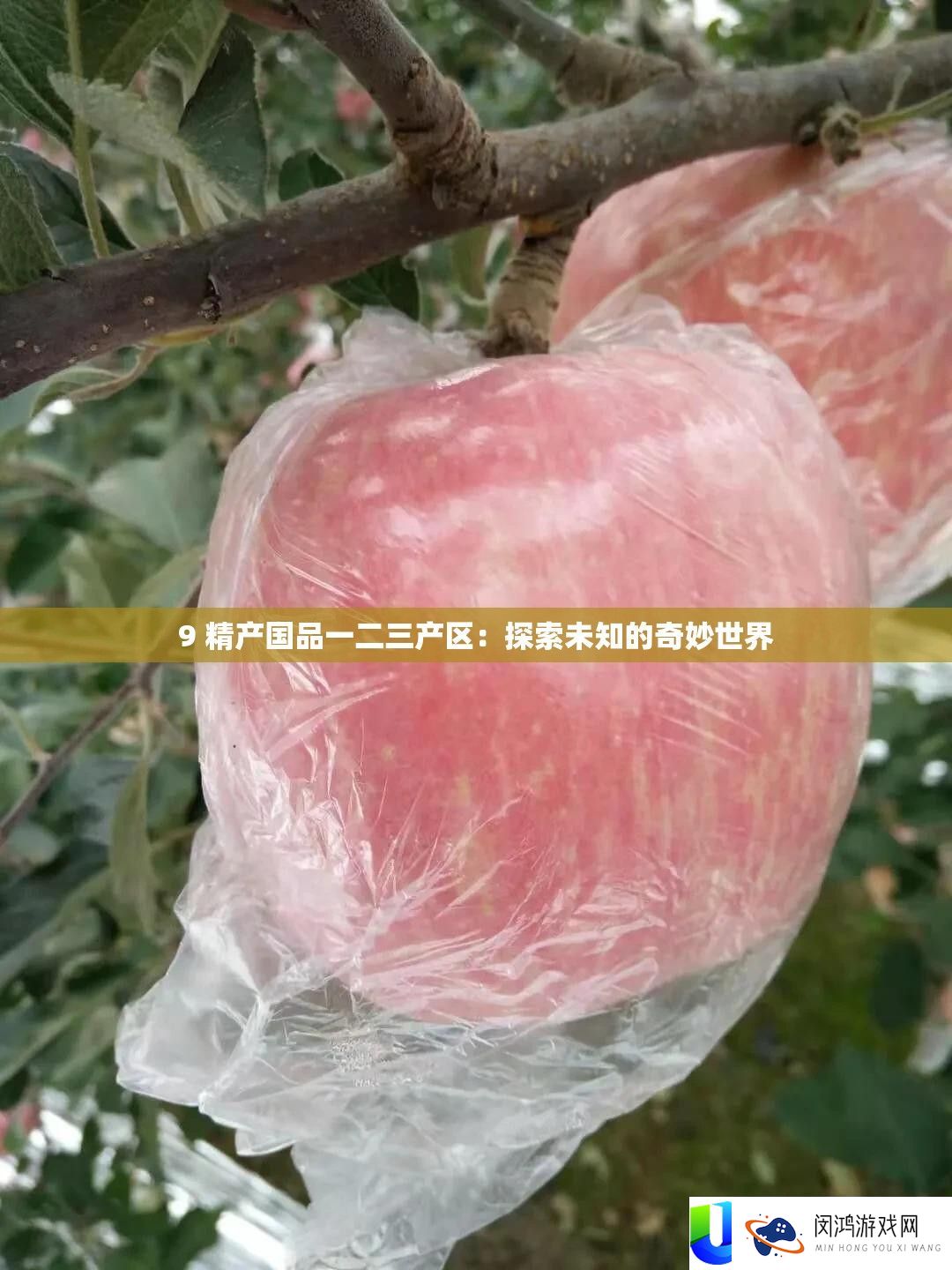 9 精产国品一二三产区：探索未知的奇妙世界