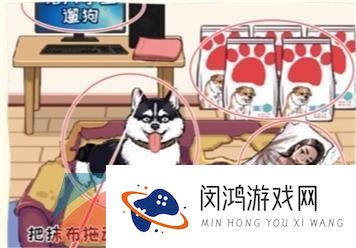 《看你怎么秀》大学生遛狗通关攻略