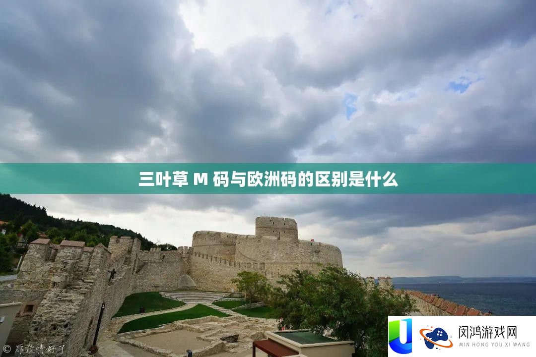 三叶草 M 码与欧洲码的区别是什么