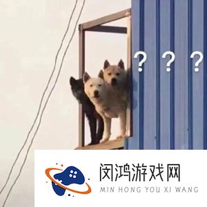《抖音》慈眉善目外卖员梗的意思介绍