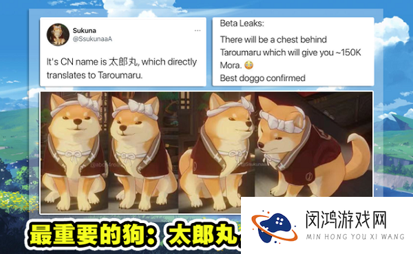 原神太郎丸位置详细介绍