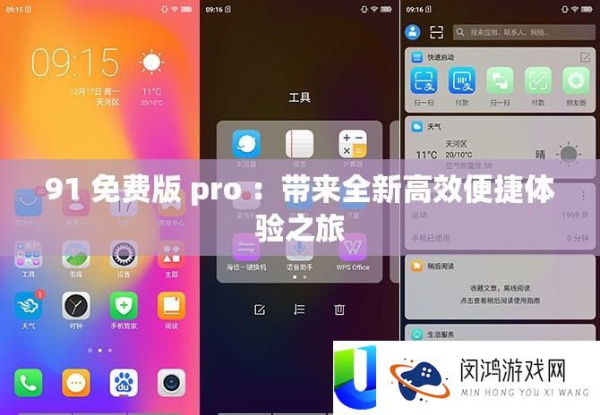 91 免费版 pro ：带来全新高效便捷体验之旅