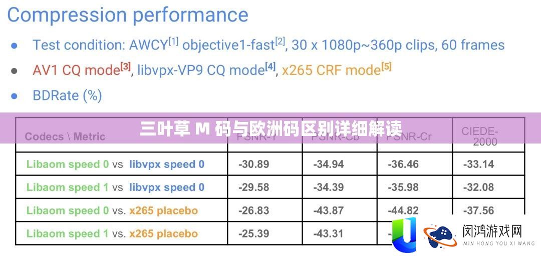 三叶草 M 码与欧洲码区别详细解读