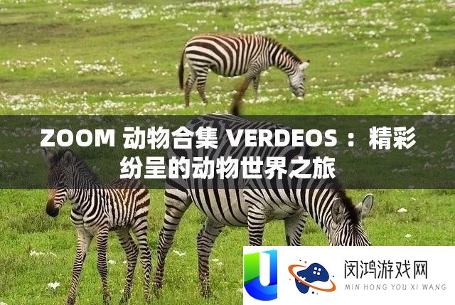 ZOOM 动物合集 VERDEOS ：精彩纷呈的动物世界之旅