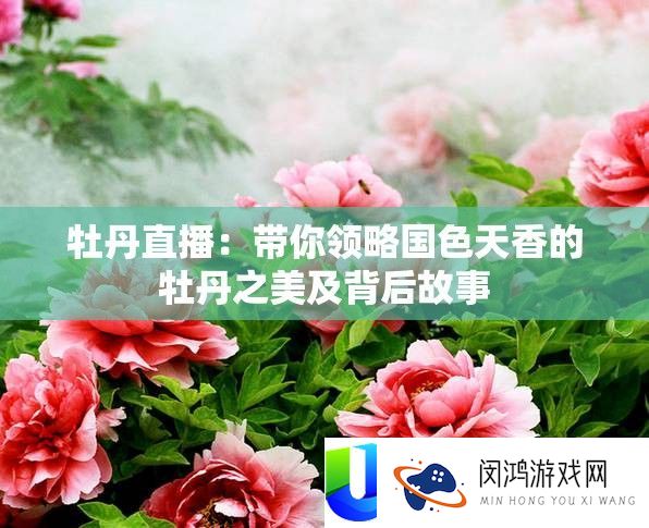 牡丹直播