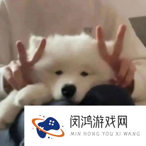 《抖音》大学生遛狗梗的意思介绍