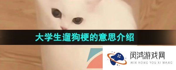 抖音大学生遛狗是什么意思-大学生遛狗梗的意思介绍