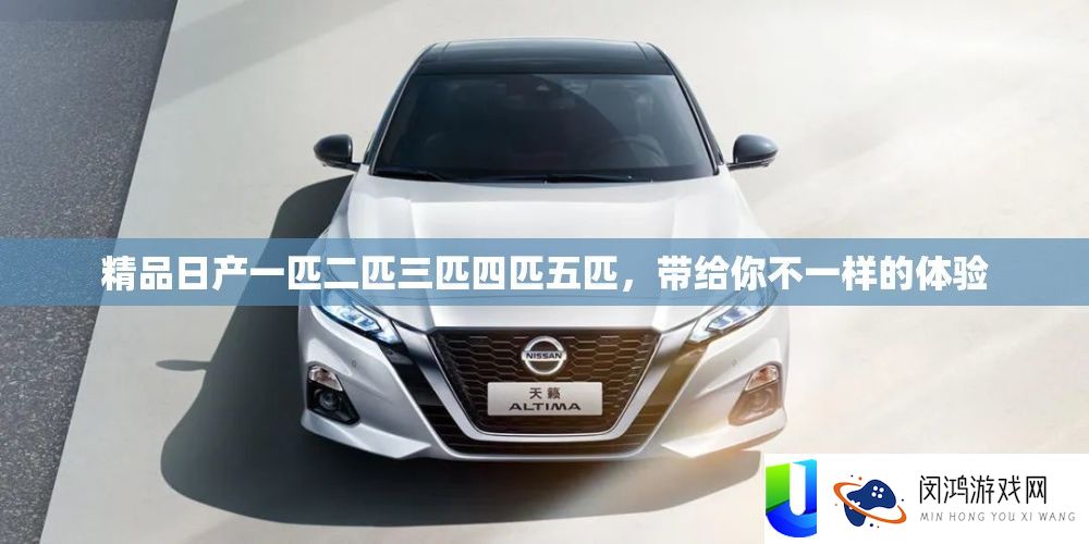 精品日产一匹二匹三匹四匹五匹