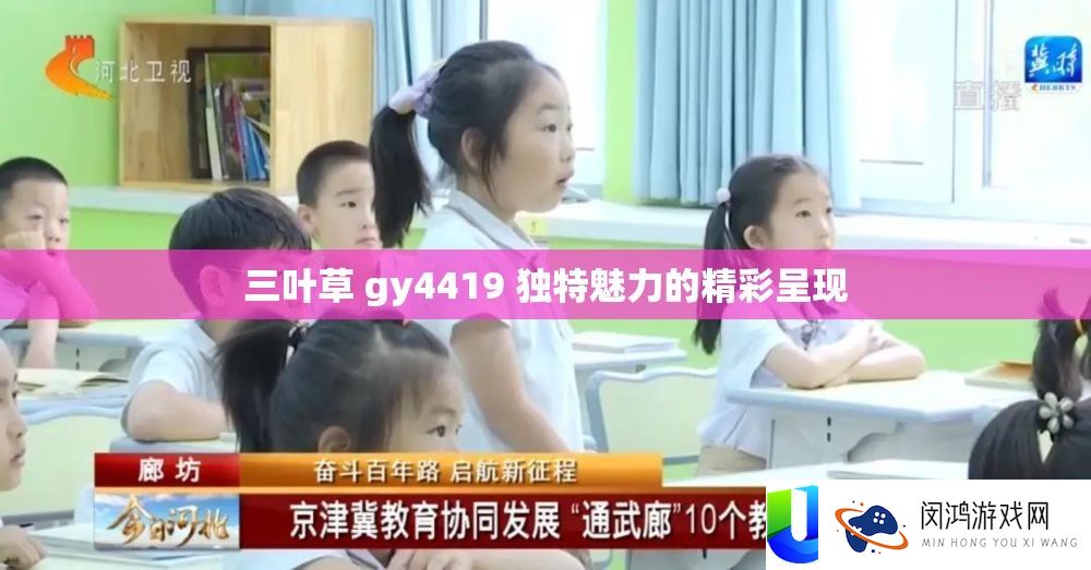 三叶草 gy4419 独特魅力的精彩呈现