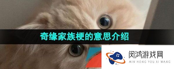 《抖音》奇缘家族梗的意思介绍