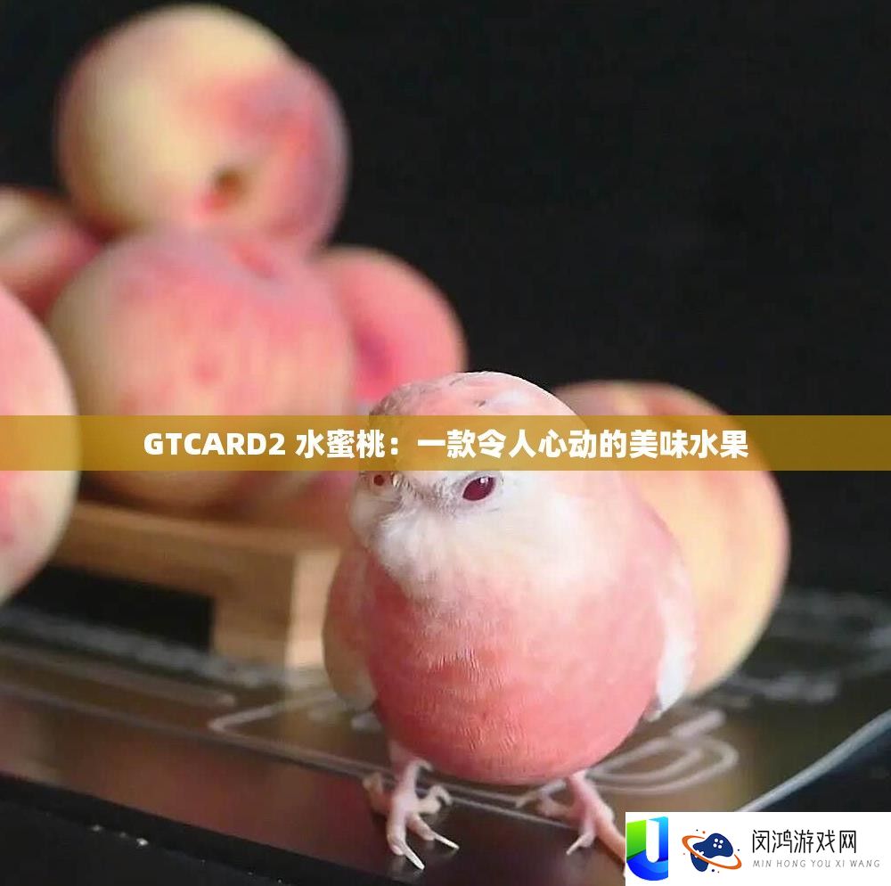 GTCARD2 水蜜桃：一款令人心动的美味水果