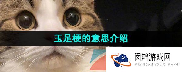 抖音玉足是什么梗-玉足梗的意思介绍
