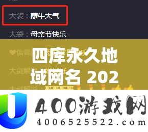 四库永久地域网名 2024 之独特魅力与精彩呈现