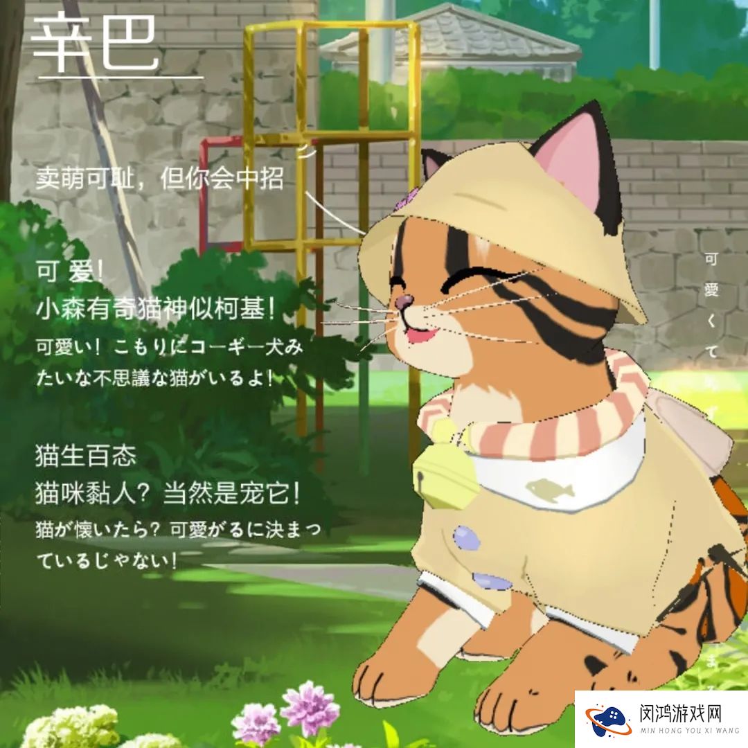 小森生活森村猫咪幼儿园迎新介绍