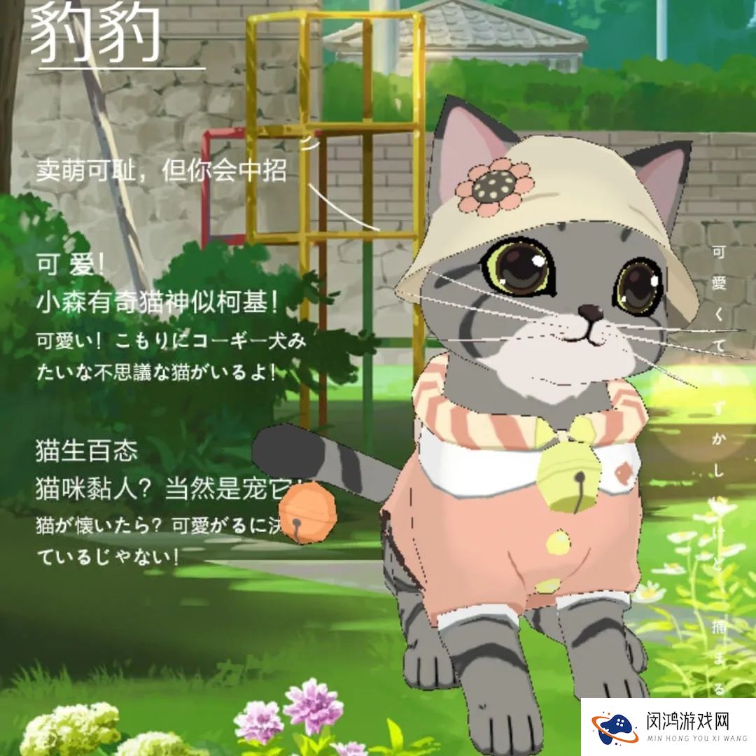 小森生活森村猫咪幼儿园迎新介绍