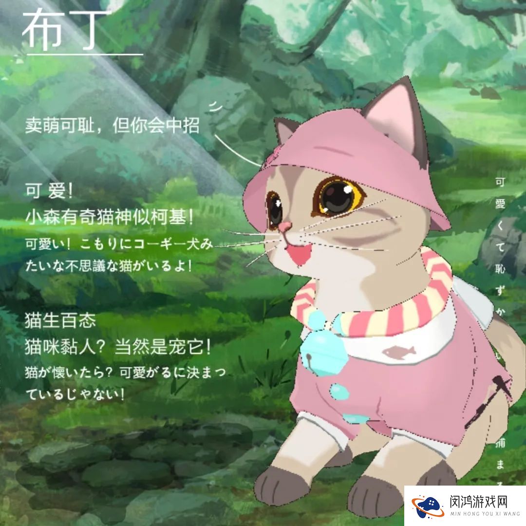 小森生活森村猫咪幼儿园迎新介绍