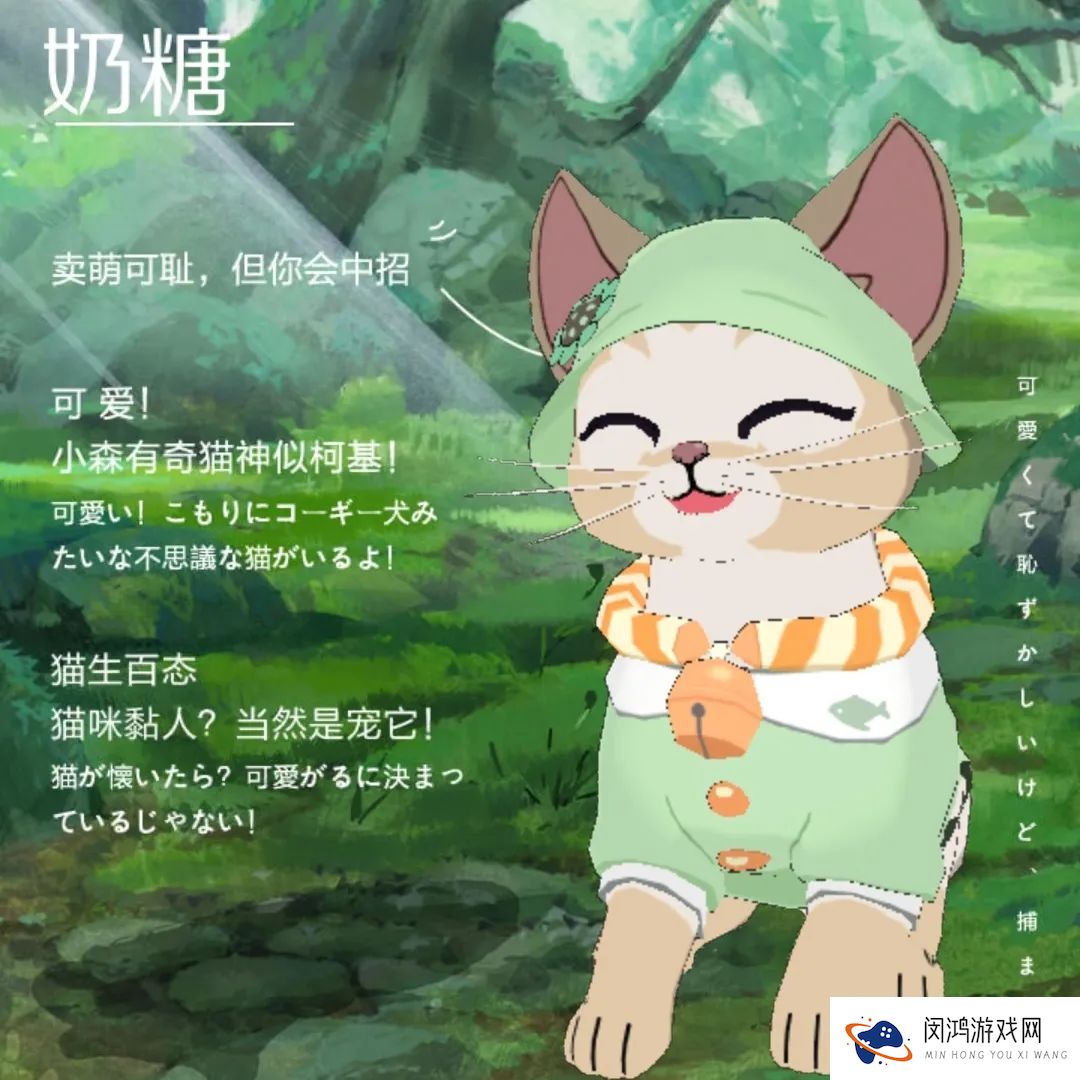小森生活森村猫咪幼儿园迎新介绍