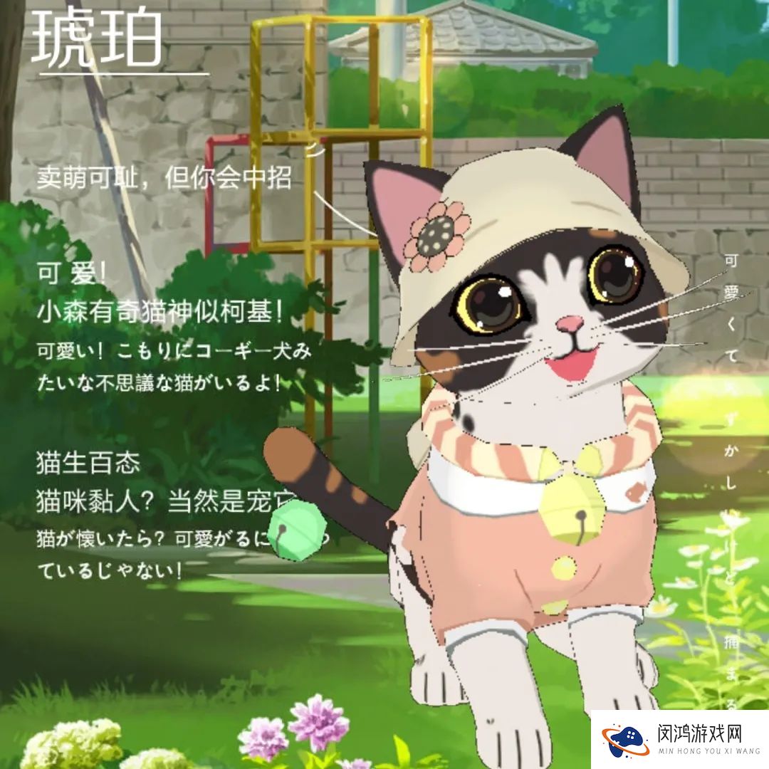 小森生活森村猫咪幼儿园迎新介绍