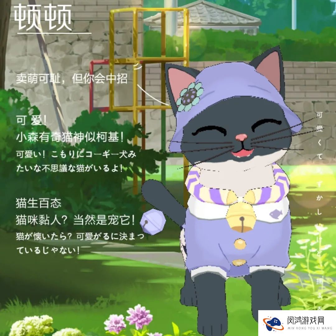 小森生活森村猫咪幼儿园迎新介绍