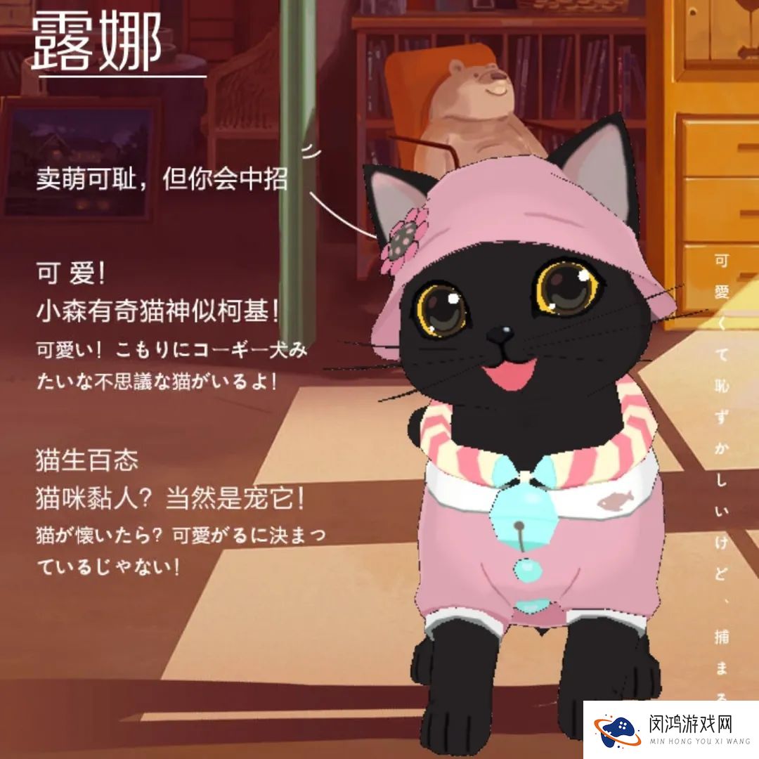 小森生活森村猫咪幼儿园迎新介绍