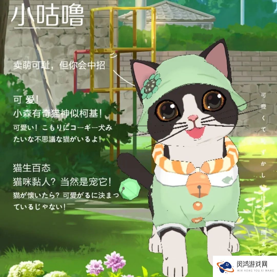 小森生活森村猫咪幼儿园迎新介绍