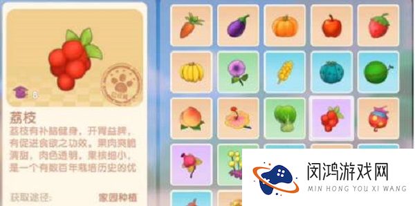 摩尔庄园手游荔枝怎么得到