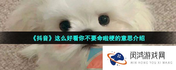 《抖音》这么好看你不要命啦梗的意思介绍
