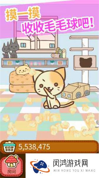 猫咪的毛