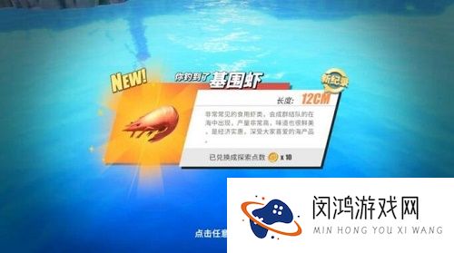 航海王热血航线奇遇旅行家的任务怎么做